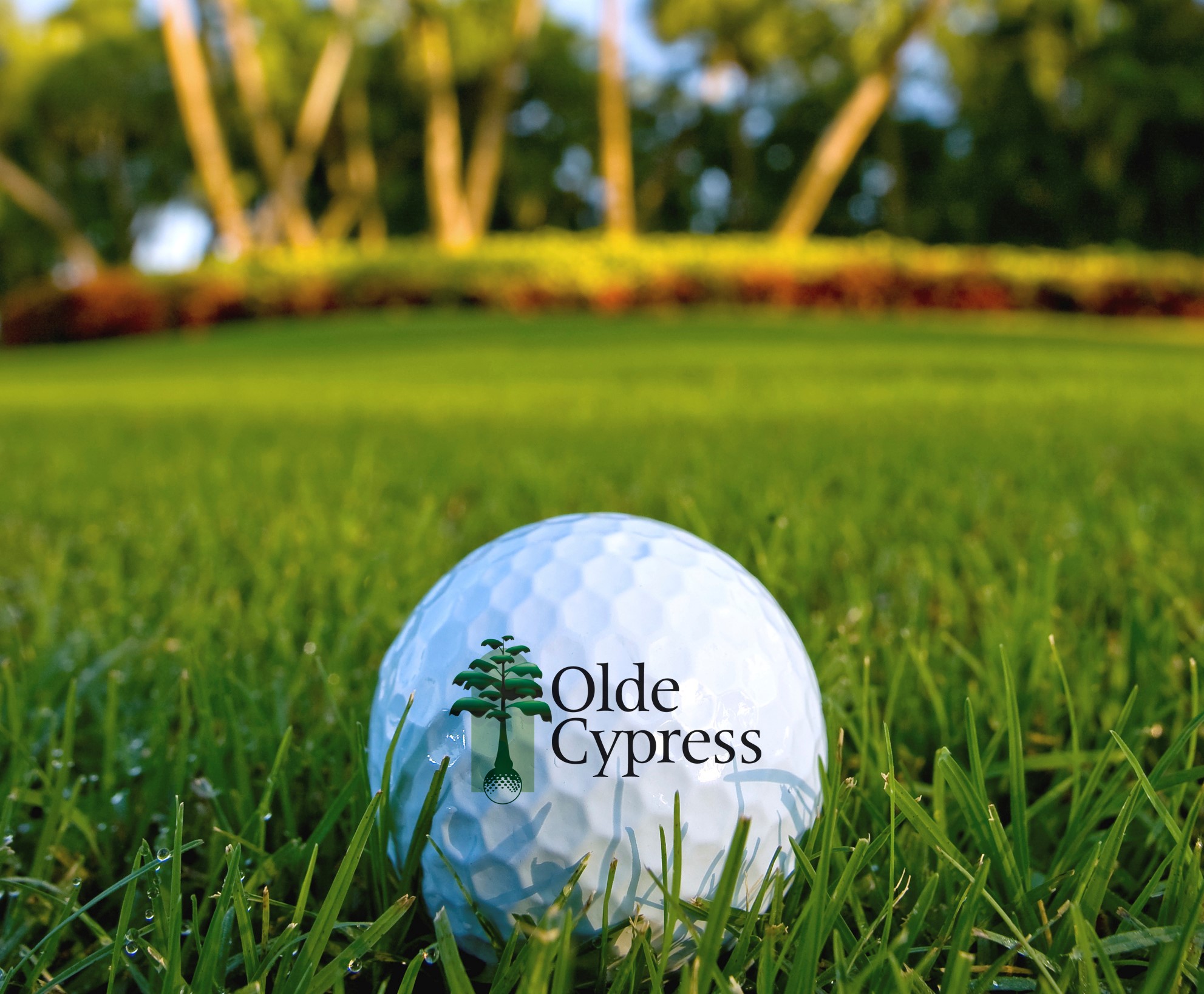 welcome to the club at olde cypress blog